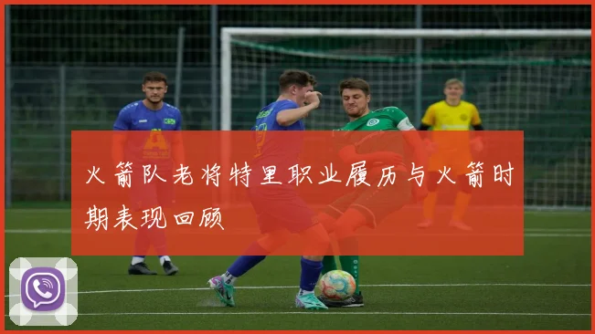 火箭队老将特里职业履历与火箭时期表现回顾