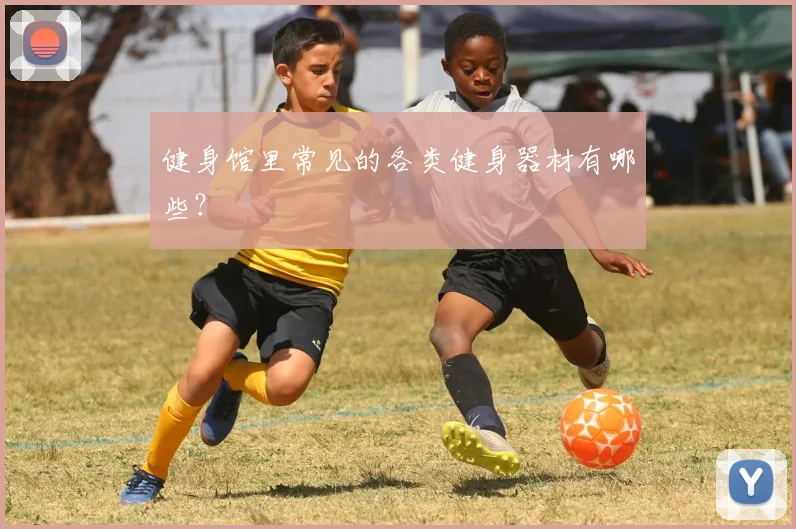 健身馆里常见的各类健身器材有哪些？