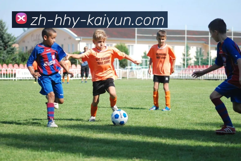 火箭队直播插件安装教程及观看指南